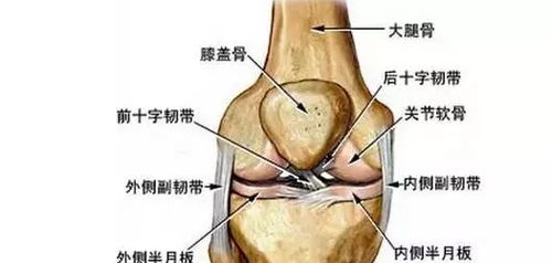 跑步不伤膝盖,不负责任的跑步才伤膝盖