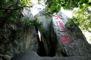 连云港花果山坐车上去多少钱,小孩也要钱吗