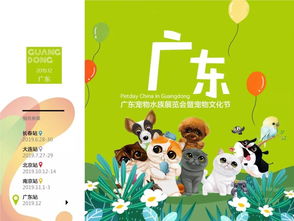2019中国宠物文化节战略升级,五城联动点燃消费市场