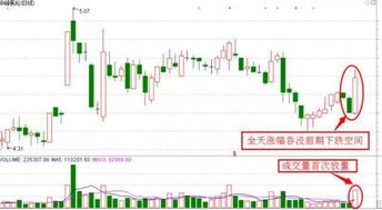 如何自动选沿5日线上长的股票