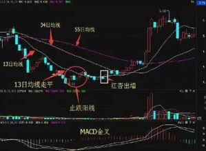 股票大跌45%时，庄家是赚是亏呢？建仓时是涨是跌呢？