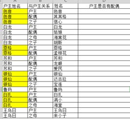 Excel,知道与户主关系,如何统计出户主是否有配偶 