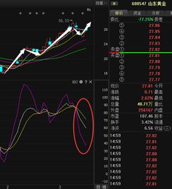 山东黄金下周还能进入吗