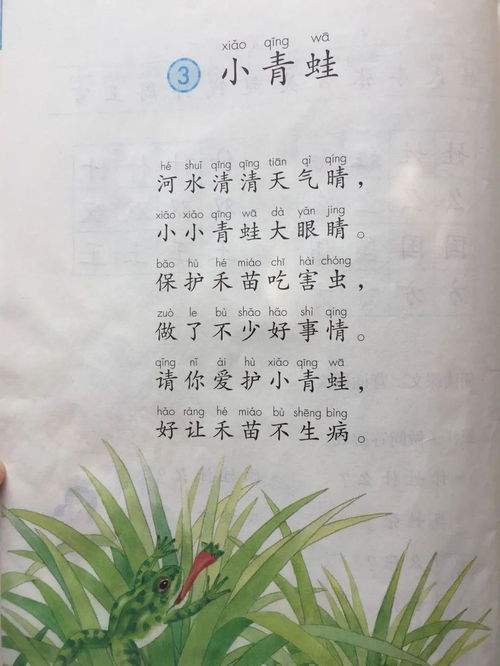 适合朗读的课文推荐