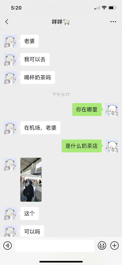 白羊大概是最适合狮子的了吧 