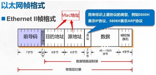 交换机是怎样运行的