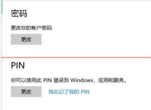 win10账户指纹在哪里设置密码