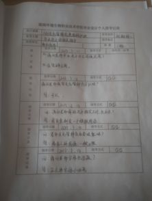 毕业论文,本科,模板,指导