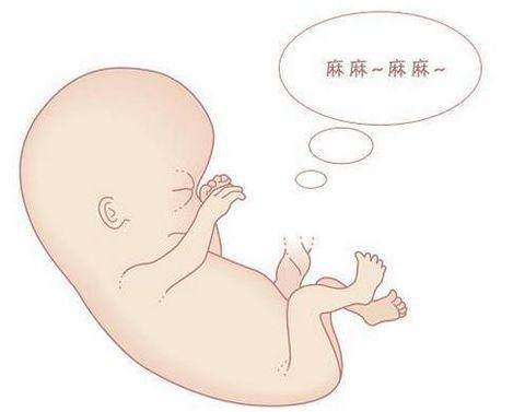 胚胎宝宝是什么意思 如何判断宝宝是