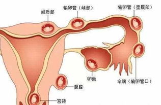 21岁大学生突然晕倒,医生紧急输血抢救,男友痛哭都是我的错