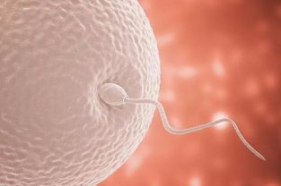 原创备孕时，想提高精子活力与质量，缺这4种元素影响太大