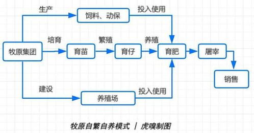 为什么10.9倍牧原股份是高市盈率股票