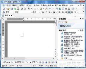 wps office 2007下载 wps office 2007 个人版免费下载 天天软件下载 