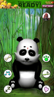 会说话的熊猫游戏下载 会说话的熊猫下载v1.8 免费安卓版 