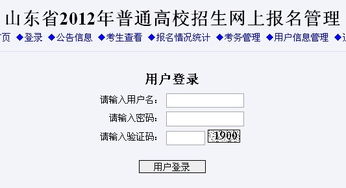 登陆山东省2012网上填报志愿系统用户名填什么 