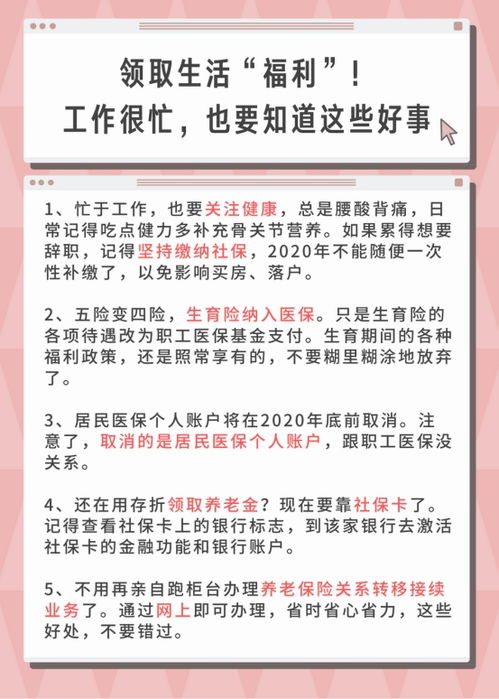 社保金炒股赔本了怎么办