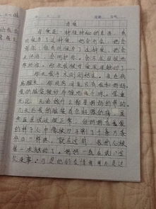 写一个关于父爱母爱的作文，字数450字，通过一件事情来描写父爱或母爱.急！急！急