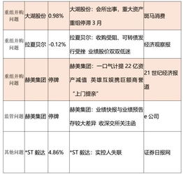 港股非标审计报告