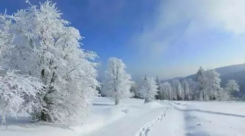 听一曲 冬雪 千山暮雪,只影向谁去 