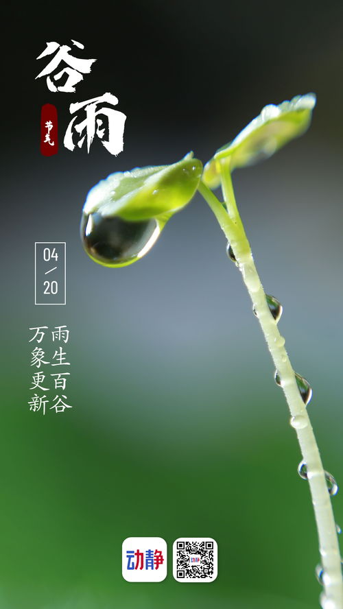 贵州谷雨天下酒业股份有限公司