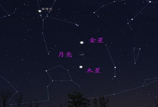 北斗七星和北极星哪个更容易辨别方向 在凌晨能看到这些星吗 