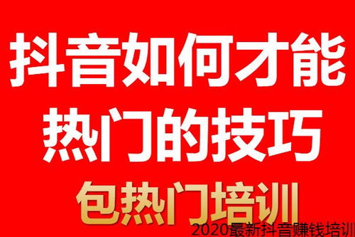 哈尔滨抖音怎么样才能上热门培训教程,抖音快手上热门 值得信赖