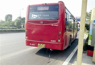 杭州公交司机拆乘客包裹检查被指侵权 86 网友支持司机 