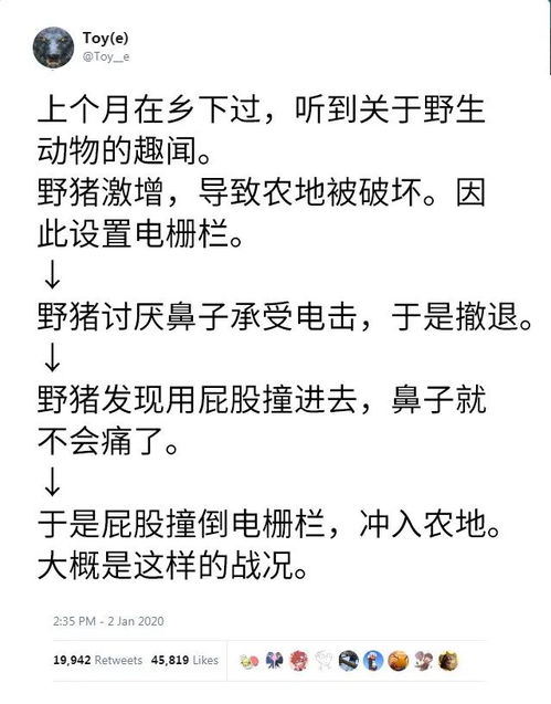 情逾骨肉的意思及造句（表达母子情深的词语有哪些？）