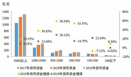 货币资金分析的要点有哪些？