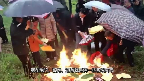 网上清明祭祀扫墓平台