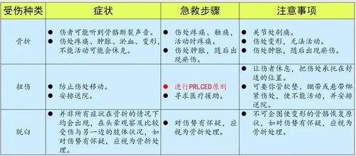 幼儿园各类户外活动安全事项,老师一定要注意