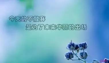 每天励志<a href='https://www.lz66.cn/tag/zhengnenliangdejuzi_60508_1.html' target='_blank'>正能量的句子</a>,励志语录正能量奋斗？