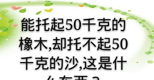 修路程文案励志（吐槽修路搞笑文案？）