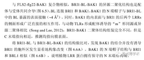 收藏 一文解决英文文献阅读中遇到的所有问题