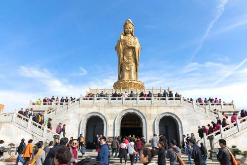 普陀山天天发团 普陀山寺院烧香拜佛最全攻略