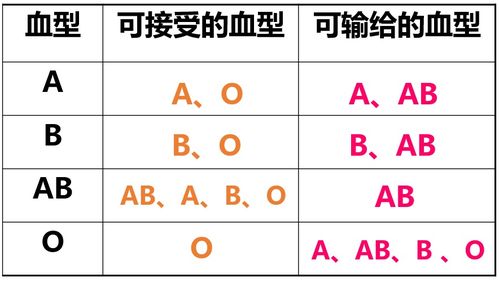 2023国家公务员考试行测备考 常识判断之浅析血液血型问题