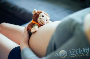 孕妇孕妇孕妇梦见猴子是胎梦吗(怀孕做梦梦见猴子是什么意思)