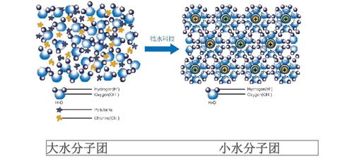 英诺赋颜动能素 科普