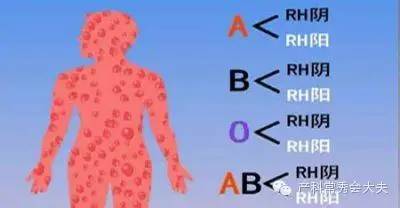 罕见血型 RH阴性血 