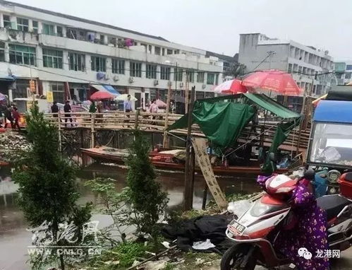 龙港黄家蓬村第三菜场,河上的这座竹桥被拆了