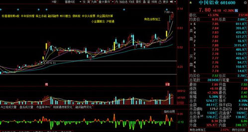 新安股份17块钱，中信证券19块进的，后市该如何炒作？？