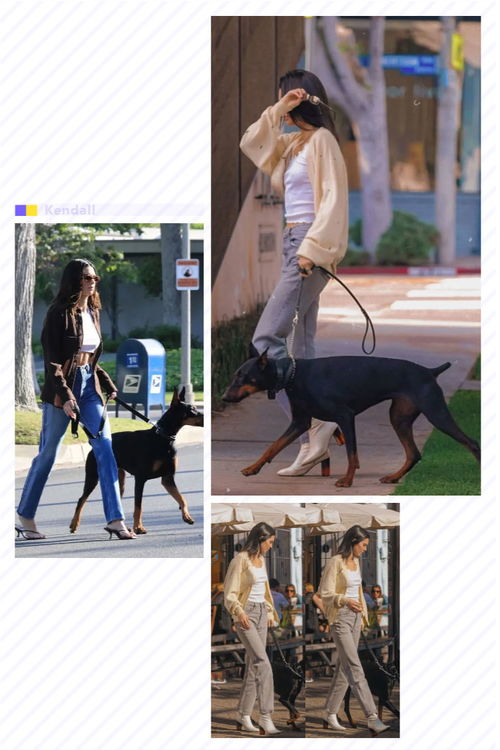 遛狗都能穿的这么时髦 只有Kendall能办到了吧 