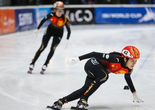 北京冬奥会中国短道速滑队名单