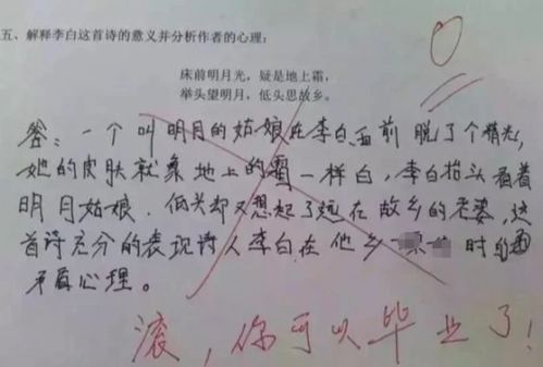 造句瑕_洁白无瑕的瑕是什么意思？