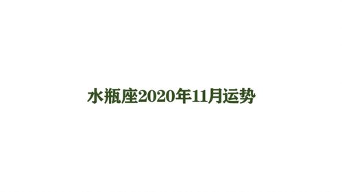 水瓶座2020年11月运势 