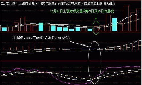 选股看什么