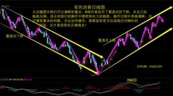 通达信如何把一个指指标只显示在周线图里，其它分析周期不显示.