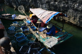  下龙湾旅游哪些景点值得去？