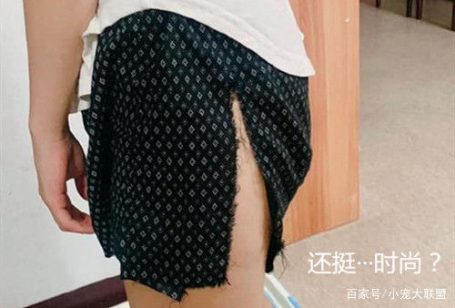 女子短裙被狗撕坏,上身效果让人意外,不知道该同情谁了