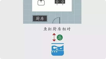 鱼缸摆放的风水细节,摆对了人财两旺
